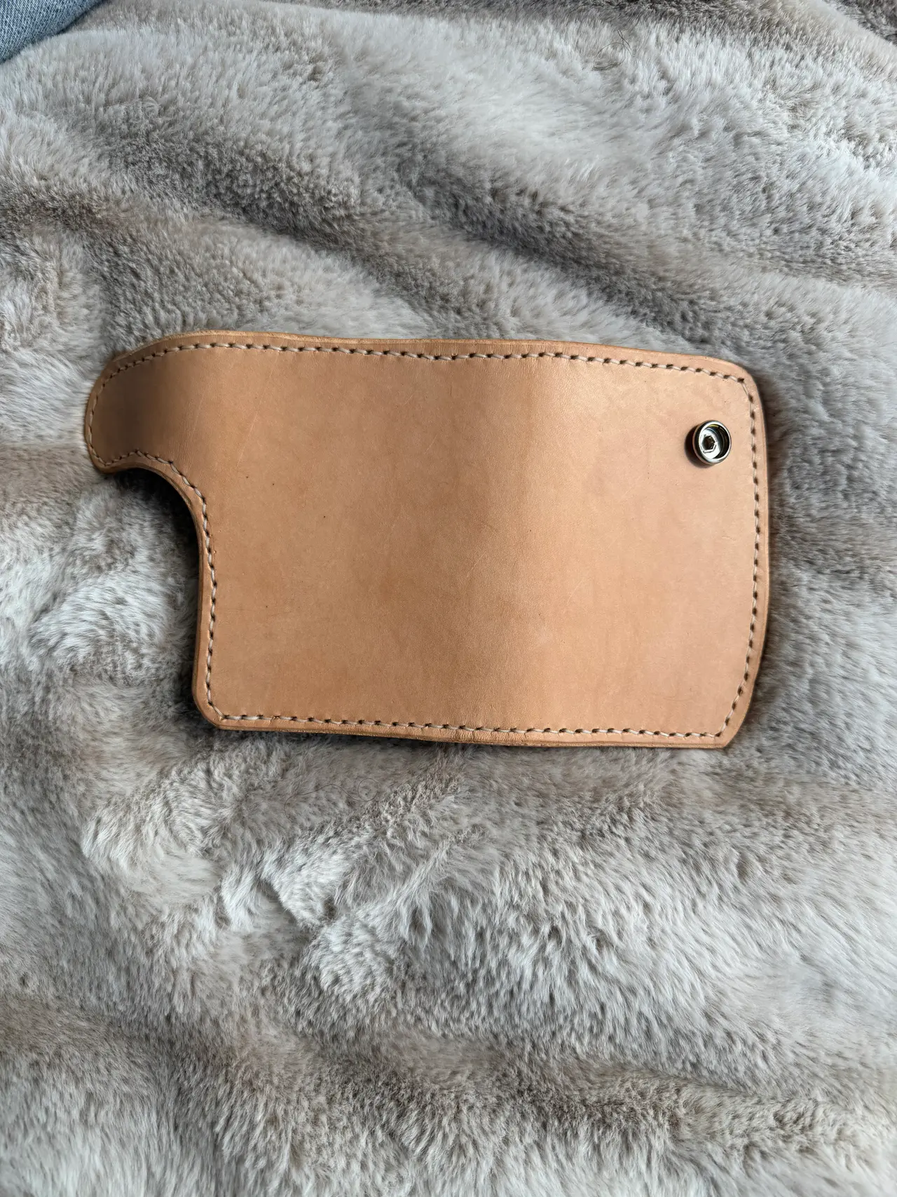 Snap Wallet