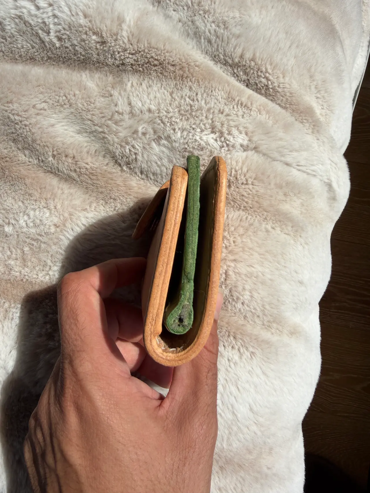 Snap Wallet